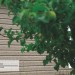 Сайдинг Ю-Пласт TIMBERBLOCK Пихта (Тимберблок) Cахалинская купить в Омске