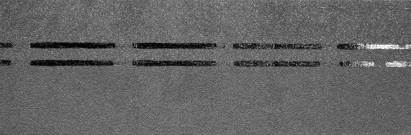 Коньково-карнизная черепица Docke Premium, черника купить в Омске