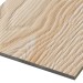 Фиброцементные панели FCSPRO Decor Wood Лиственница купить в Омске