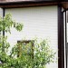 Фасадная панель Grand Line Сланец бежевый купить в Омске